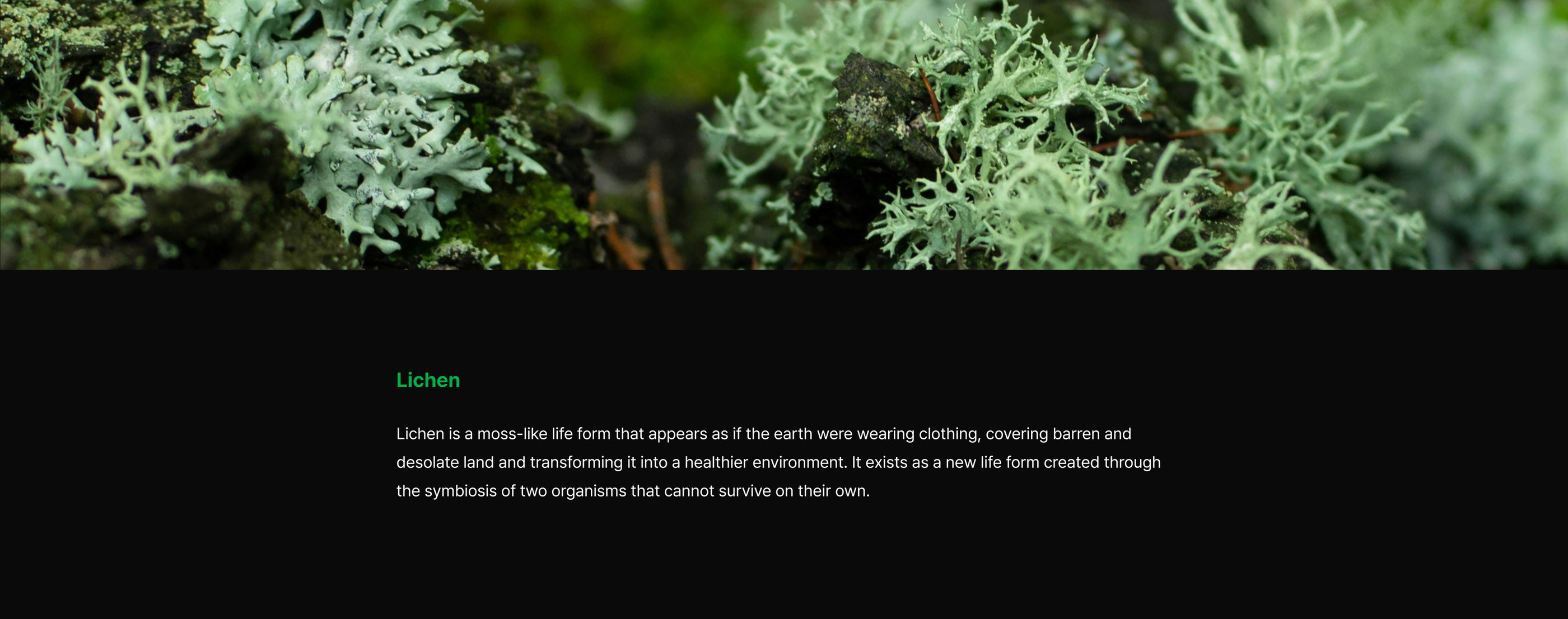 Clothing for the earth 2